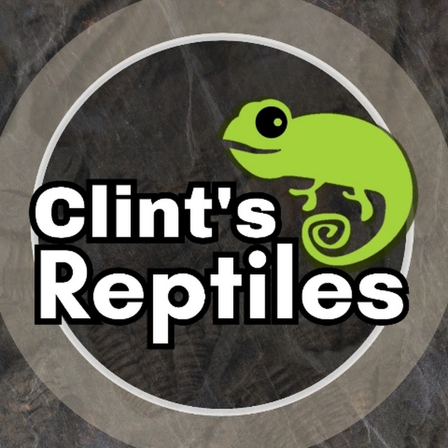 Clint's Reptiles channel photo